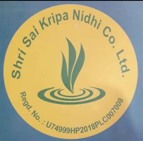 online.sainidhi.org.